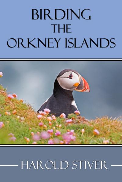 Birding the Orkney Islands