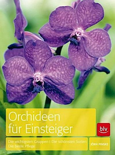 Orchideen für Einsteiger