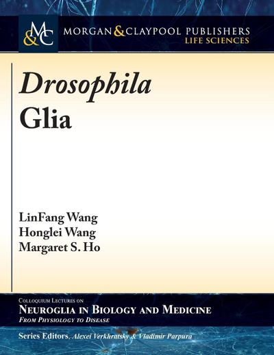 Drosophila Glia
