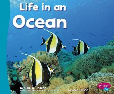 Life in an Ocean