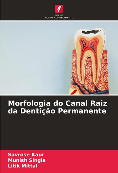 Morfologia do Canal Raiz da Dentição Permanente
