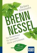 Brennnessel