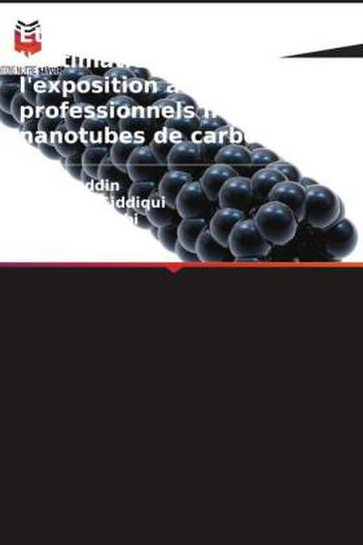 Étude sur l’évaluation et l’estimation de l’exposition aux risques professionnels liés aux nanotubes de carbone