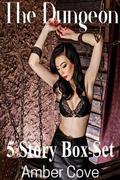 The Dungeon 5 Story Box Set