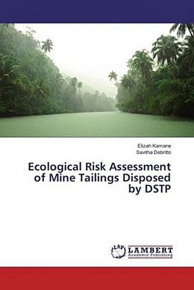 Ecological Risk Assessment of Mine Tailings Disposed by DSTP