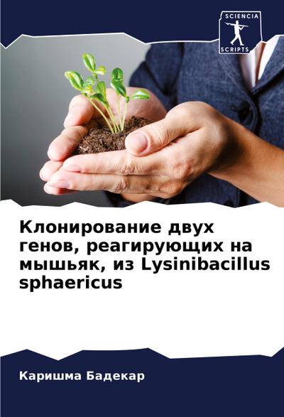 Klonirowanie dwuh genow, reagiruüschih na mysh’qk, iz Lysinibacillus sphaericus