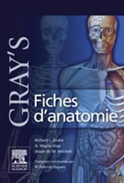 Gray’’s Fiches d’’anatomie