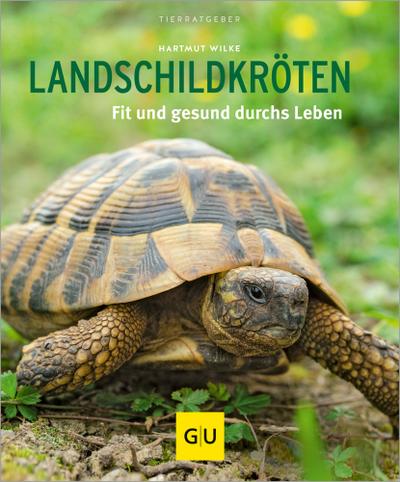 Landschildkröten.