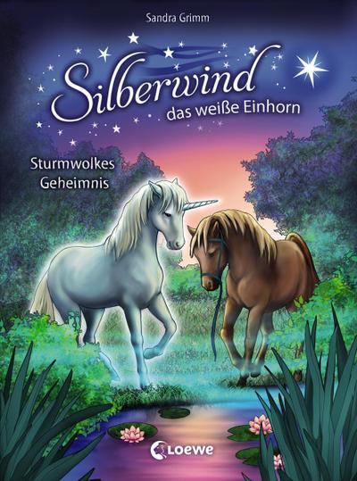Silberwind, das weiße Einhorn 4 - Sturmwolkes Geheimnis