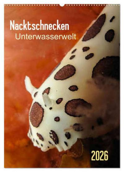 Nacktschnecken - Unterwasserwelt 2026 (Wandkalender 2026 DIN A2 hoch), CALVENDO Monatskalender