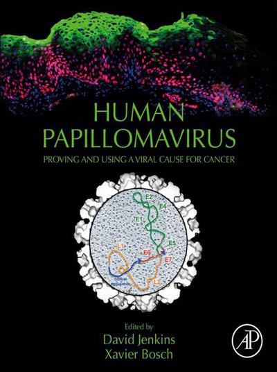 Human Papillomavirus