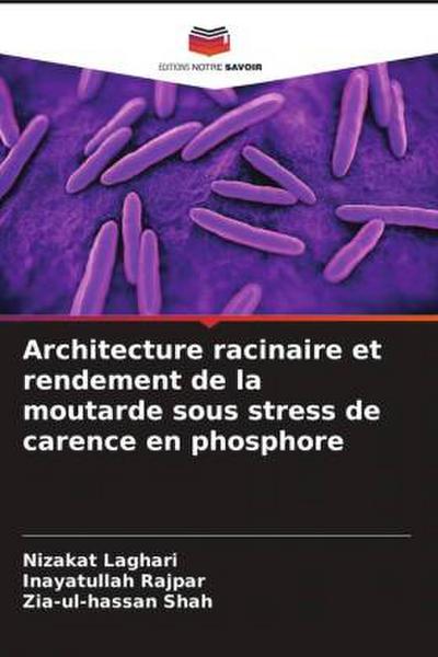 Architecture racinaire et rendement de la moutarde sous stress de carence en phosphore