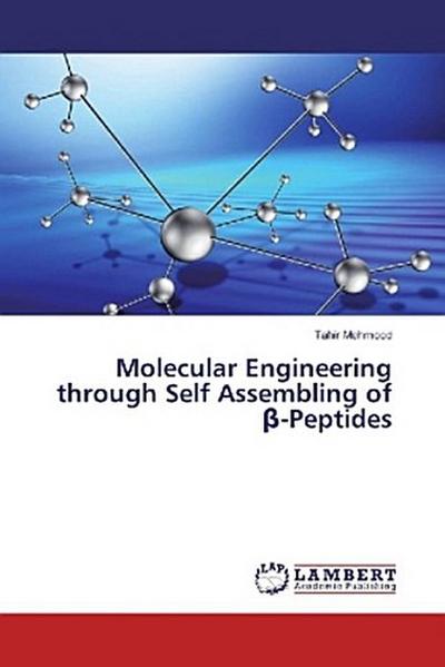 Molecular Engineering through Self Assembling of ¿-Peptides