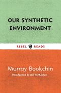 Our Synthetic Environment