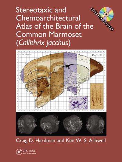 Stereotaxic and Chemoarchitectural Atlas of the Brain of the Common Marmoset (Callithrix jacchus)