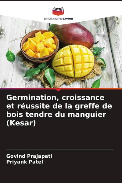 Germination, croissance et réussite de la greffe de bois tendre du manguier (Kesar)