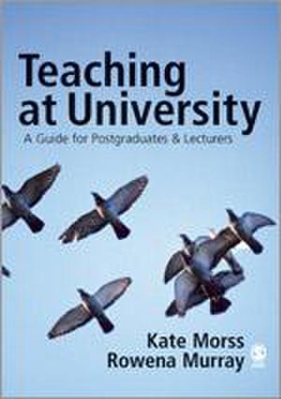 Teaching at University