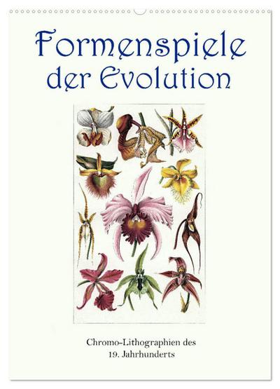 Formenspiele der Evolution. Chromolithographien des 19. Jahrhunderts (Wandkalender 2024 DIN A2 hoch), CALVENDO Monatskalender