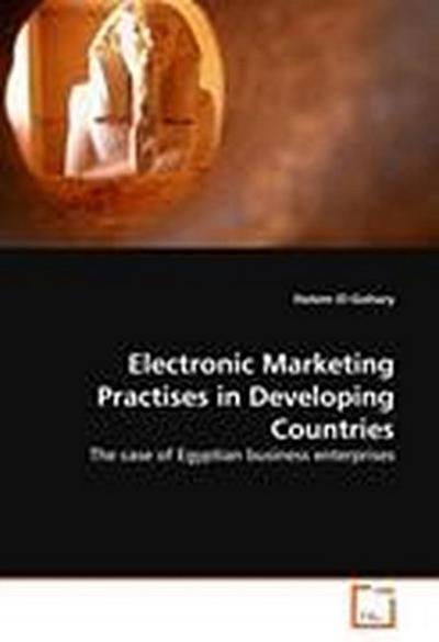 Electronic Marketing Practises in Developing Countries