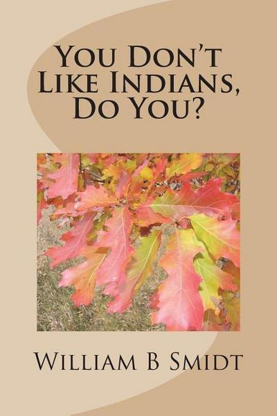 You Don’t Like Indians, Do You?