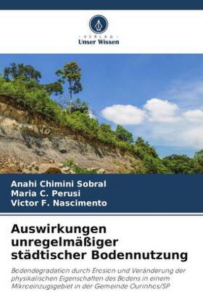 Auswirkungen unregelmäßiger städtischer Bodennutzung