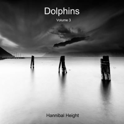 Dolphins - Volume 3