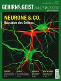 Neurone & Co.: Bausteine des Gehirns (Gehirn&Geist Basiswissen)