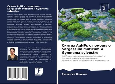 Sintez AgNPs s pomosch’ü Sargassum muticum i Gymnema sylvestre