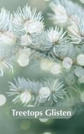 Treetops Glisten