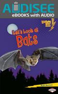 Let’s Look at Bats