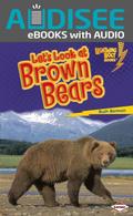 Let’s Look at Brown Bears