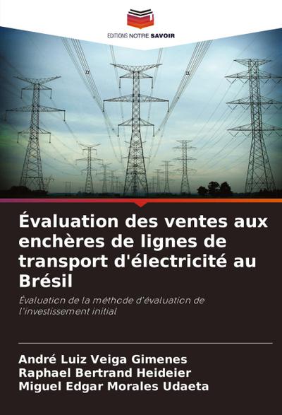 Évaluation des ventes aux enchères de lignes de transport d’électricité au Brésil