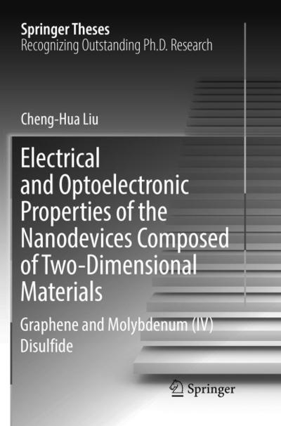 Electrical and Optoelectronic Properties of the Nanodevices Composed of Two-Dimensional Materials