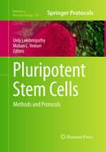 Pluripotent Stem Cells