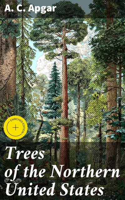 Trees of the Northern United States (eBook, EPUB) - A. C. Apgar