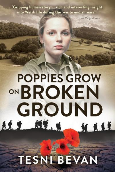 Poppies Grow on Broken Ground