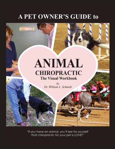 A Pet Owner’s Guide to Animal Chiropractic