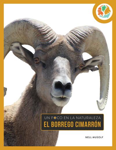 El Borrego Cimarrón