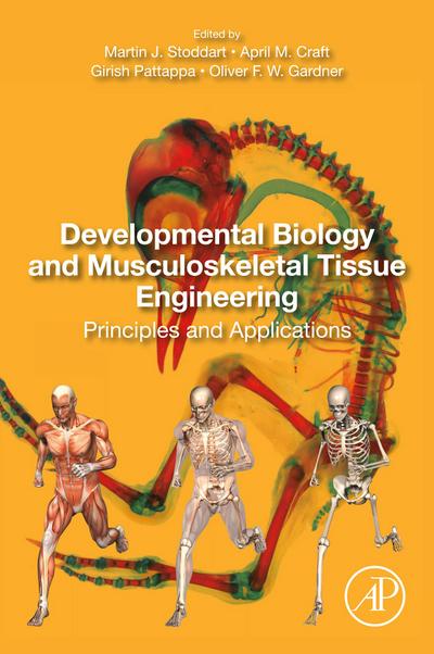 Developmental Biology and Musculoskeletal Tissue Engineering
