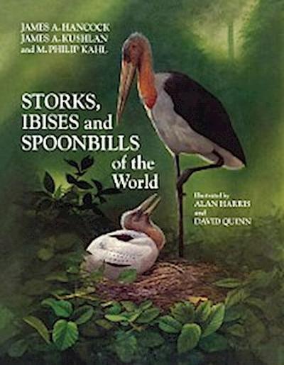 Storks, Ibises and Spoonbills of the World