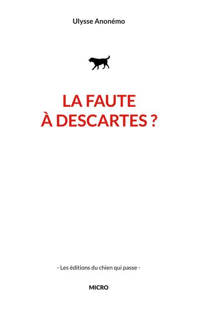 La faute à descartes ?