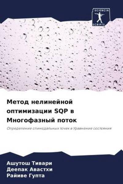 Metod nelinejnoj optimizacii SQP w Mnogofaznyj potok