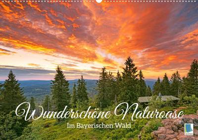 Wunderschöne Naturoase: Im Bayerischen Wald (Wandkalender 2023 DIN A2 quer)