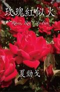 玫瑰紅似火