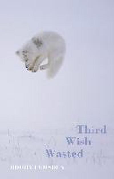 Third Wish Wasted