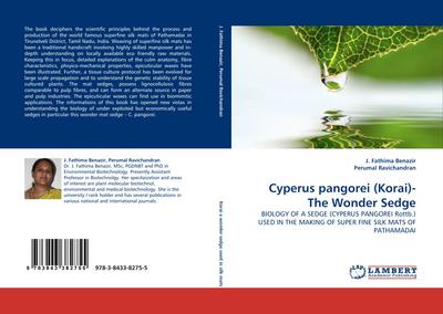 Cyperus pangorei (Korai)- The Wonder Sedge