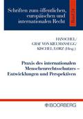 Praxis des internationalen Menschenrechtsschutzes - Entwicklungen und Perspektiven