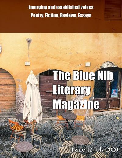 The Blue Nib Literary Magazine
