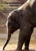 Das Sozialleben der Elefanten