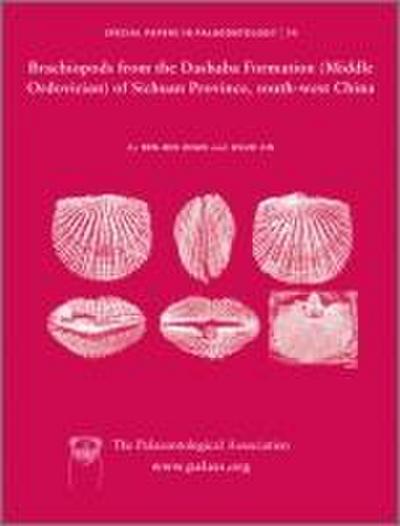 Special Papers in Palaeontology, Brachiopods from the Dashaba Formation (Middle Ordovician) of Sichuan Province, South-West China